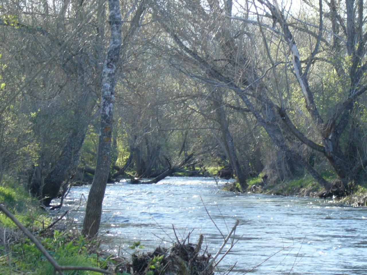 Camping De Cervera De Buitrago מראה חיצוני תמונה