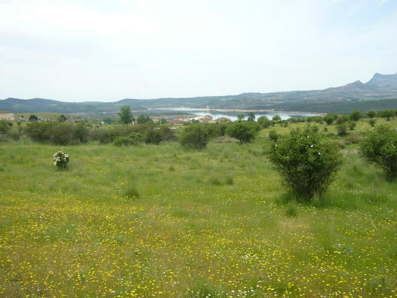 Camping De Cervera De Buitrago מראה חיצוני תמונה